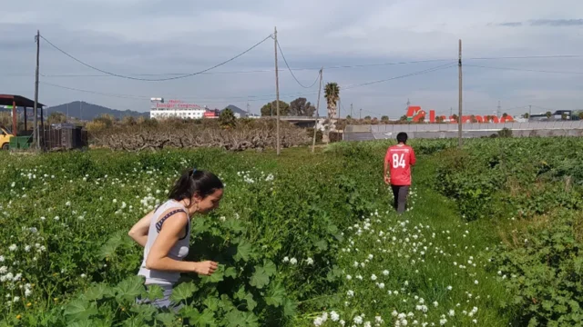 LaFundició SCCL